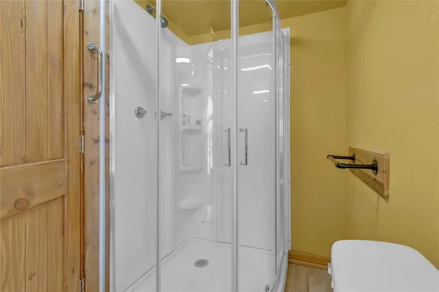 a bathroom with a shower and a toilet