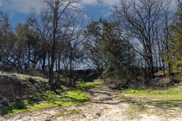 a view of a yard with a street