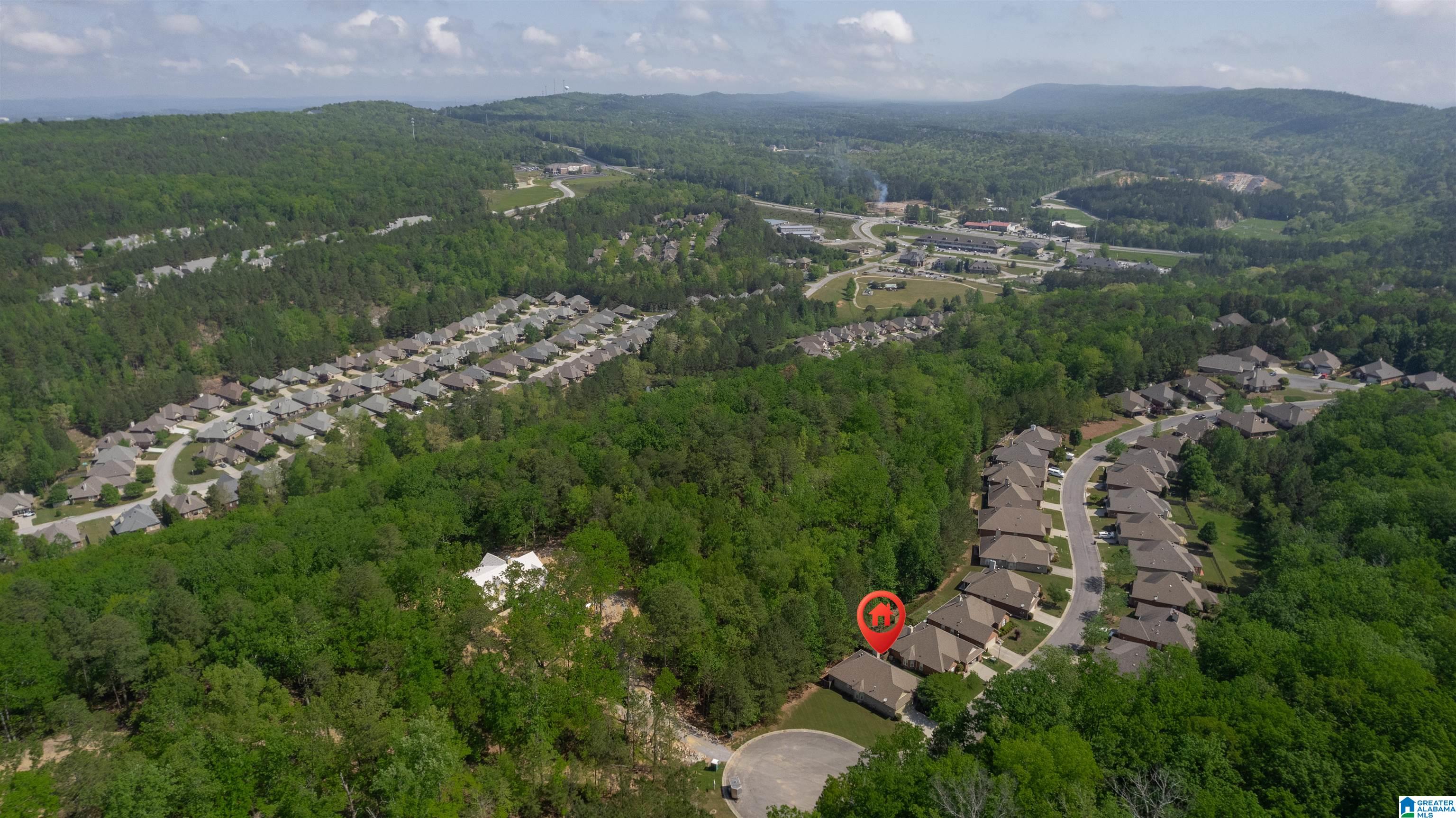 2070 Narrows Point Cove Birmingham, AL 35242 - Photo 42 of 45