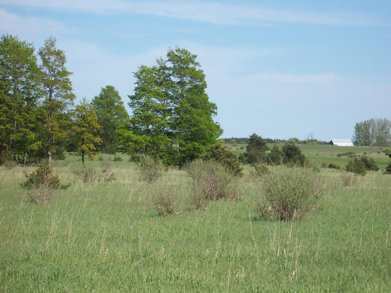 0 Church Road Cheboygan, MI 49721 - Photo 3 of 5 Gallery Image 3