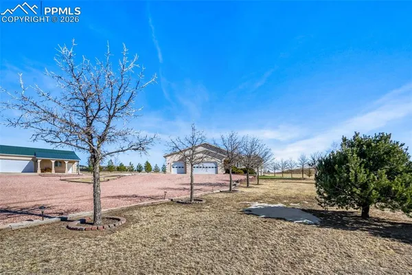 a view of a dry yard with trees