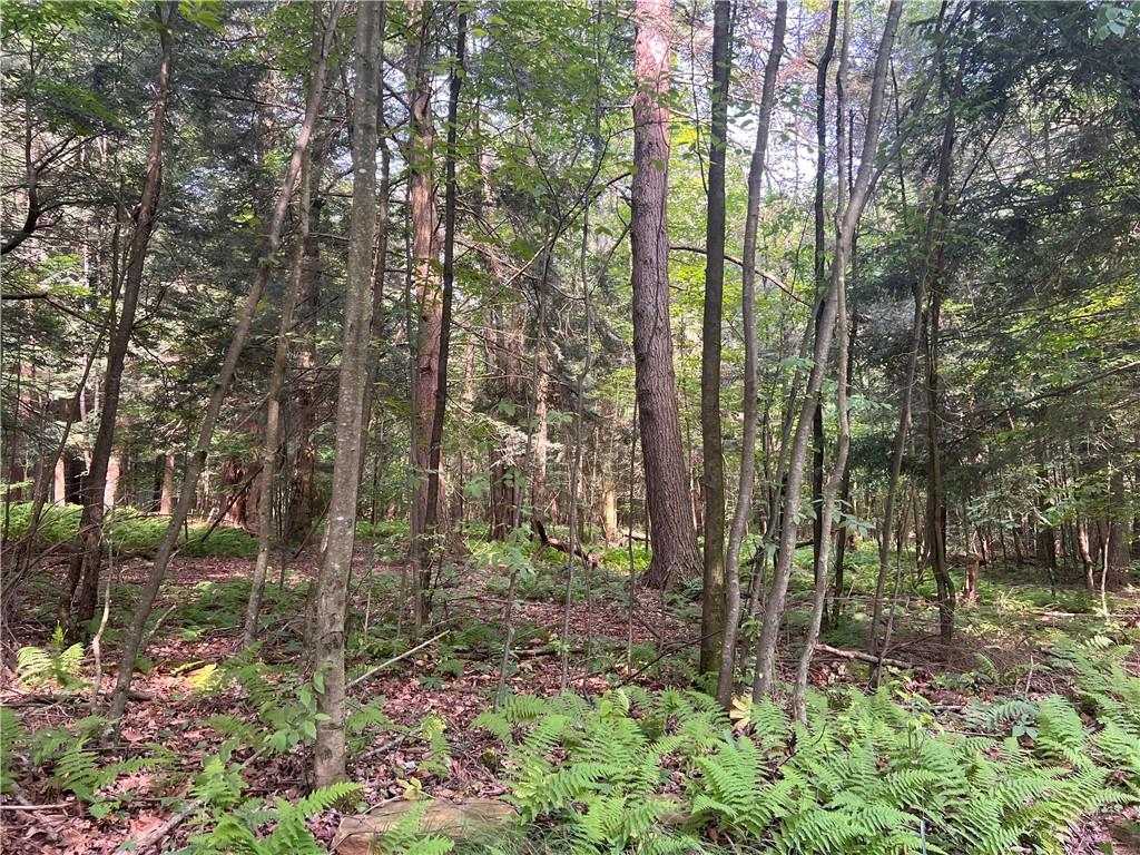 2612 Canoe Ridge Road Rossiter, PA 15772 - Photo 32 of 34