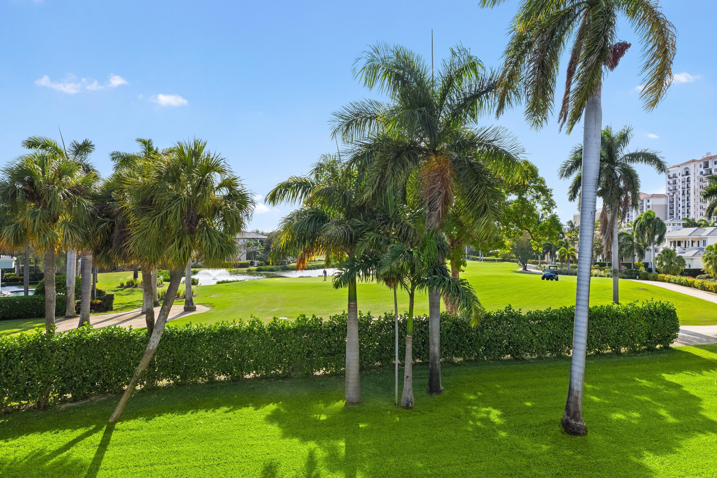 217 Thatch Palm Drive Boca Raton, FL 33432 - Photo 61 of 78 Terrace View