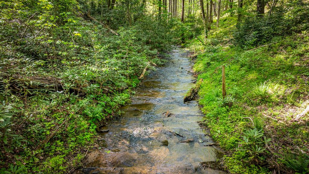 180 Down Under Road Blue Ridge, GA 30513 - Photo 49 of 50 Gallery Image 49