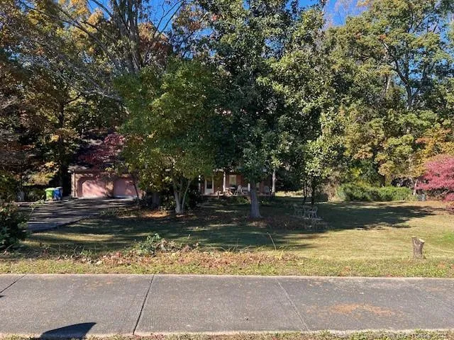 a view of a yard with a tree