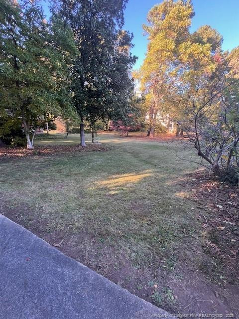 7905 Harps Mill Road Raleigh, NC 27615 - Photo 2 of 13 a view of a tree in the middle of a yard