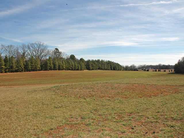 120 Hart Road Anderson, SC 29621 - Photo 6 of 9 Gallery Image 6