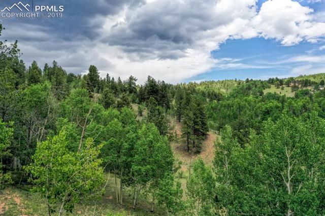 1087 Princess Road Cripple Creek, CO 80813 - Photo 14 of 14 Lot and surrounding area
