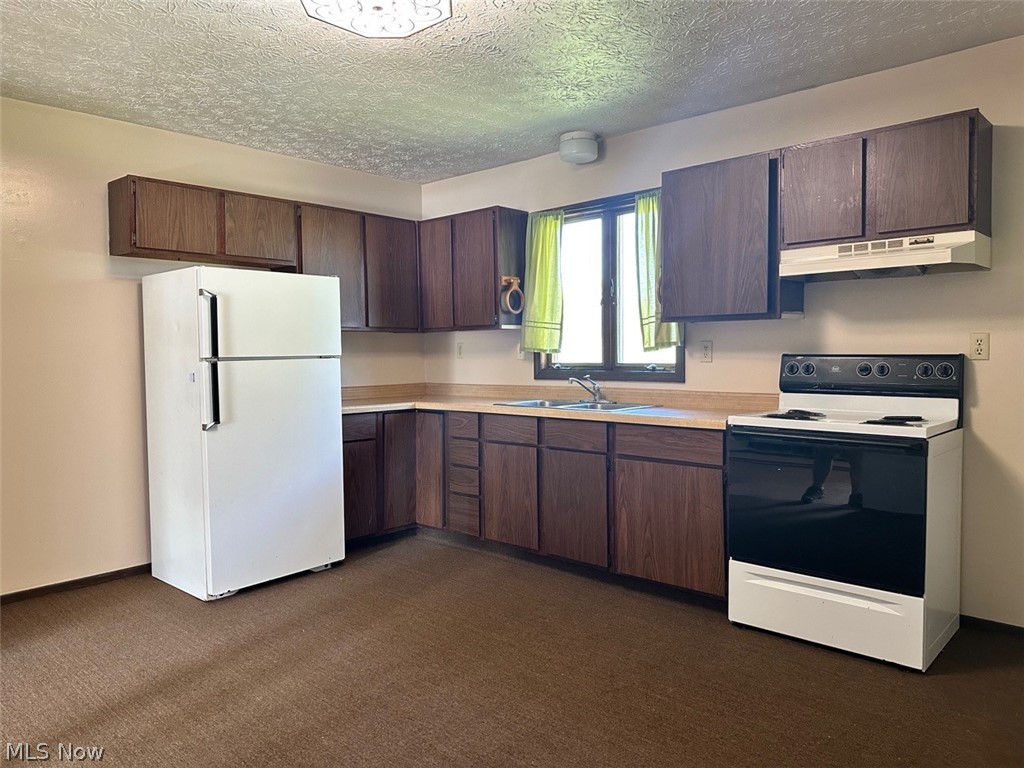 3102 Shaffer Road Atwater, OH 44201 - Photo 13 of 16 Kitchen featuring dark carpet, sink, dark brown cabinets, and white appliances