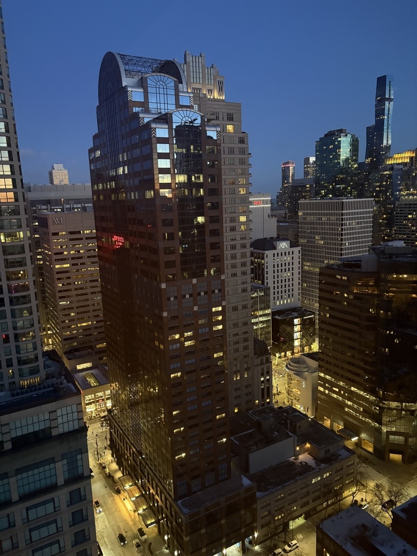 30 East Huron Street, Unit 3601 Chicago, IL 60611 - Photo 15 of 15 a picture of city view