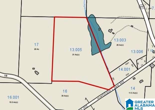 0 State Lake Road, Unit 31 ACRES Lineville, AL 36266 - Photo 15 of 15