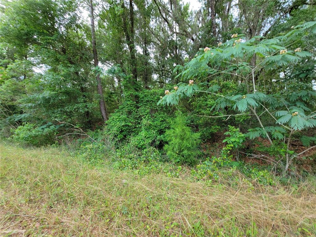 Southwest Elim Church Road Fort White, FL 32038 - Photo 1 of 1 Front view
