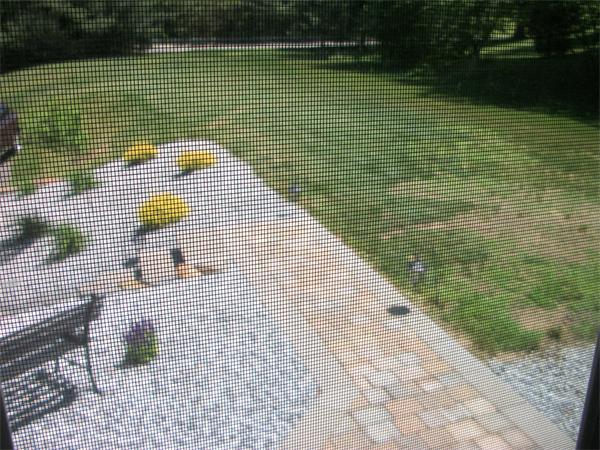 311 Old Warren Road Palmer, MA 01069 - Photo 17 of 27