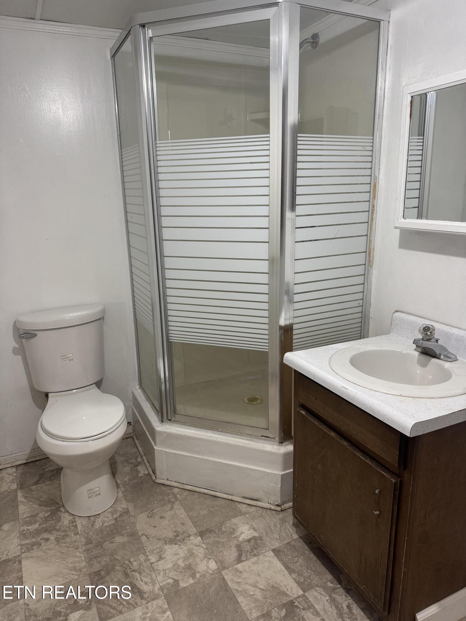 520 Crystal Springs Road Madisonville, TN 37354 - Photo 6 of 11 Basement Bathroom #2