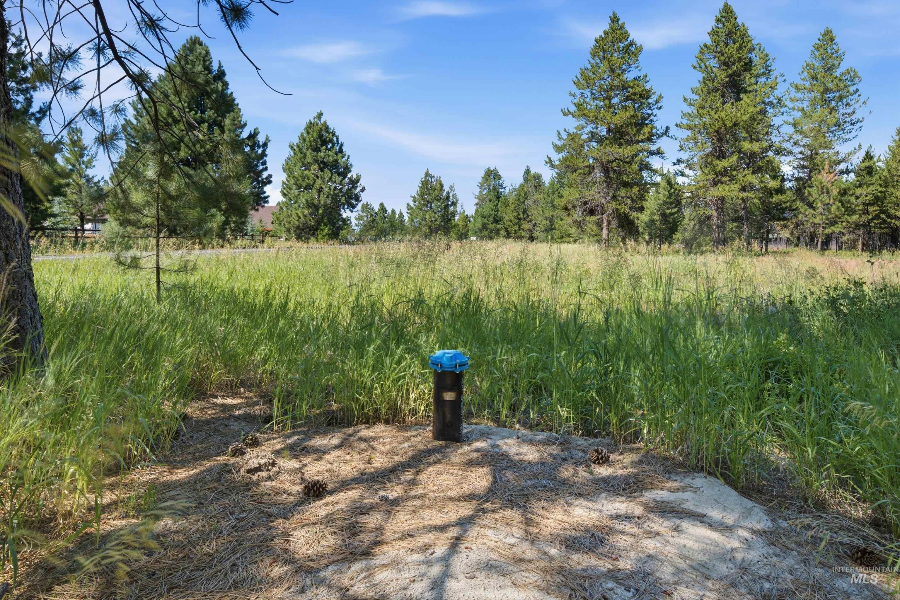 13772 Clear View Road McCall, ID 83638 - Photo 7 of 15