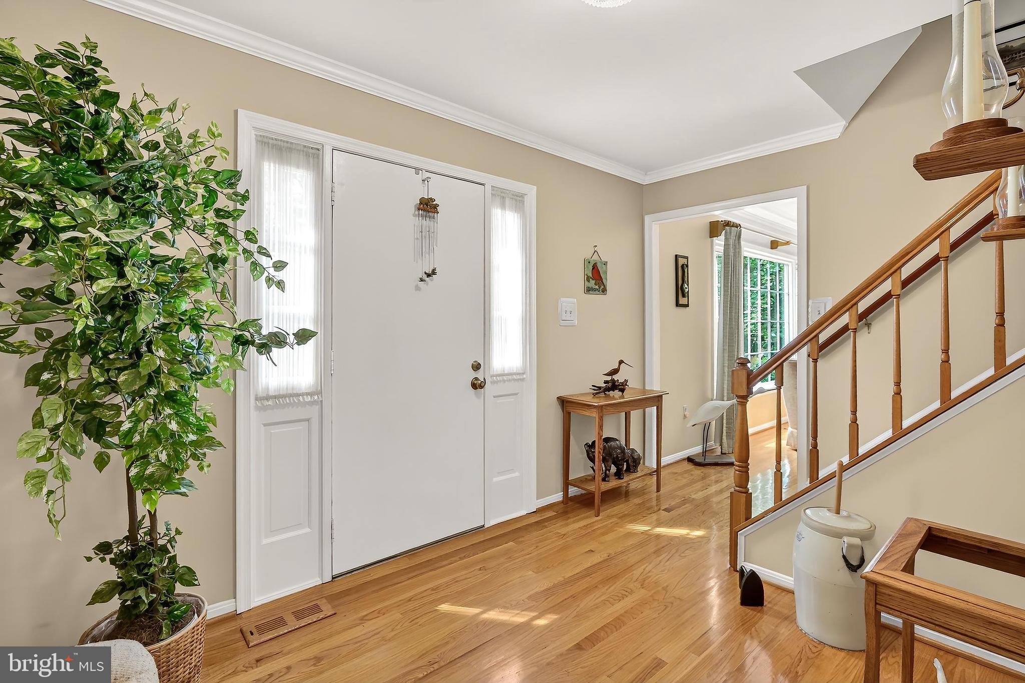 8128 Viola Street Springfield, VA 22152 - Photo 9 of 44 Bright & spacious entryway with gorgeous hardwoods