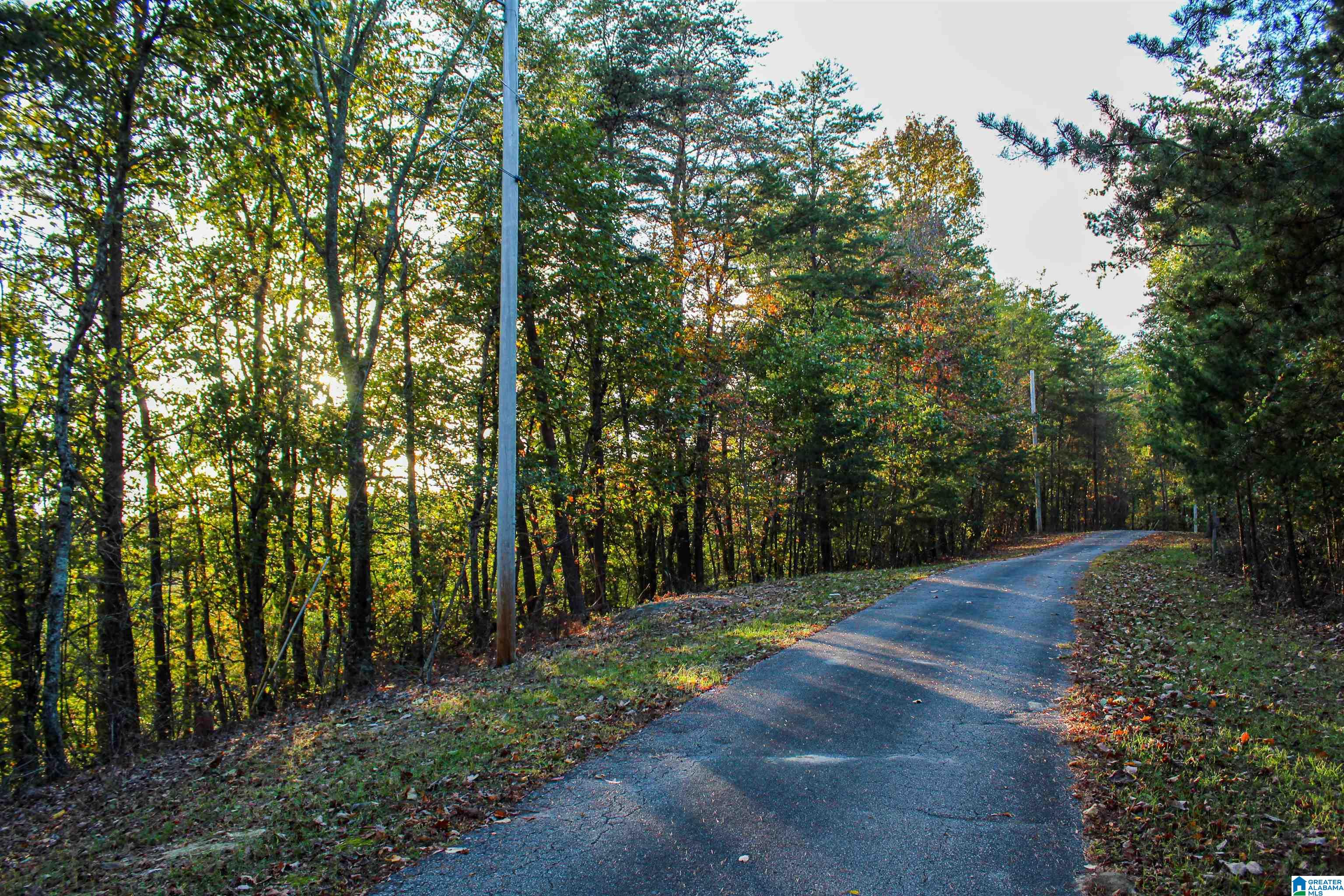 539 3rd Street Northwest Carbon Hill, AL 35549 - Photo 53 of 71