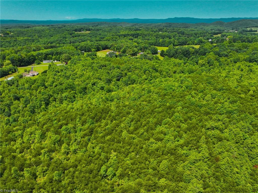 0 Norman Road Mount Airy, NC 27030 - Photo 3 of 3