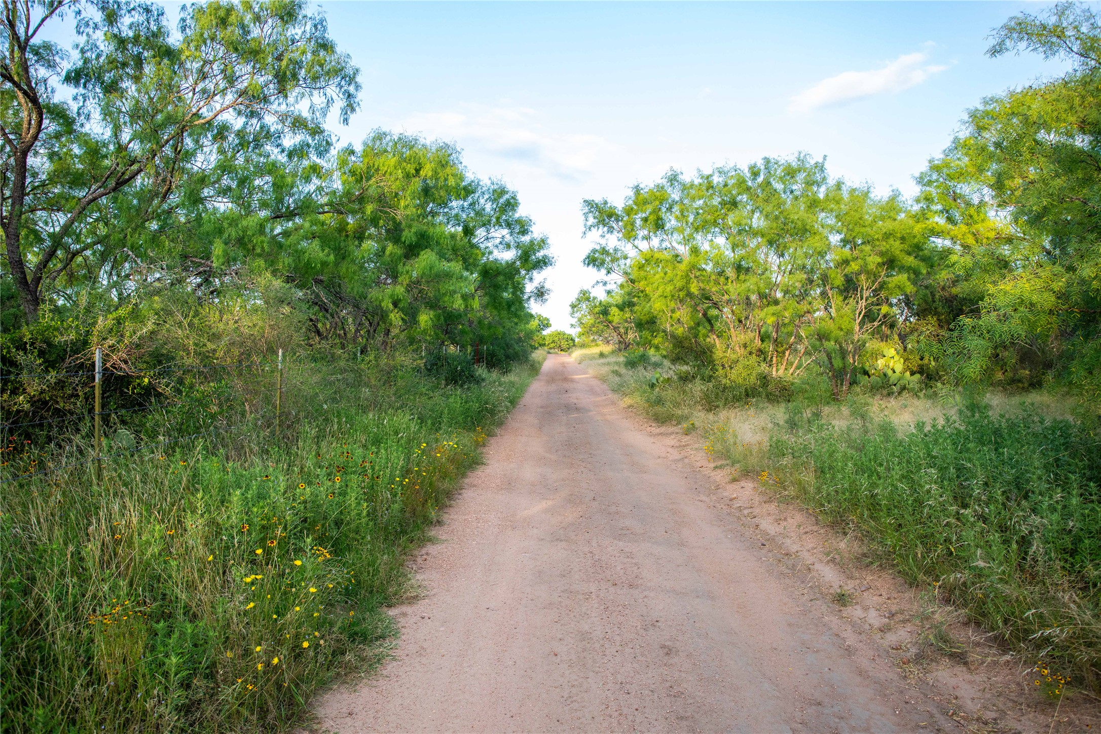 Tbd Broke O Road Llano, TX 78643 - Photo 5 of 38