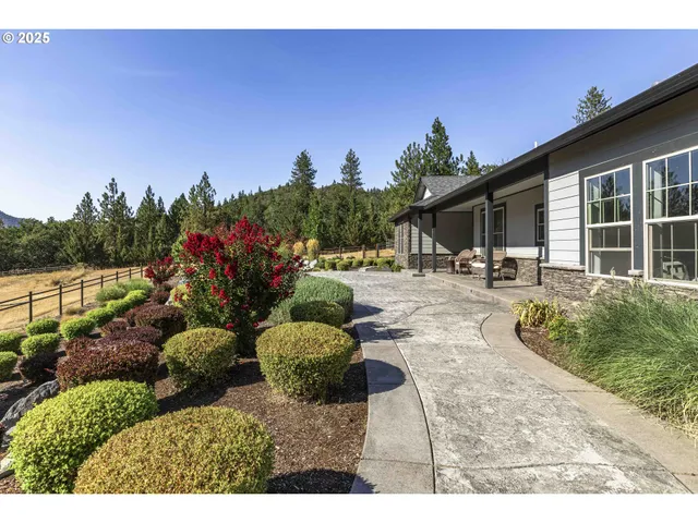 a view of a backyard