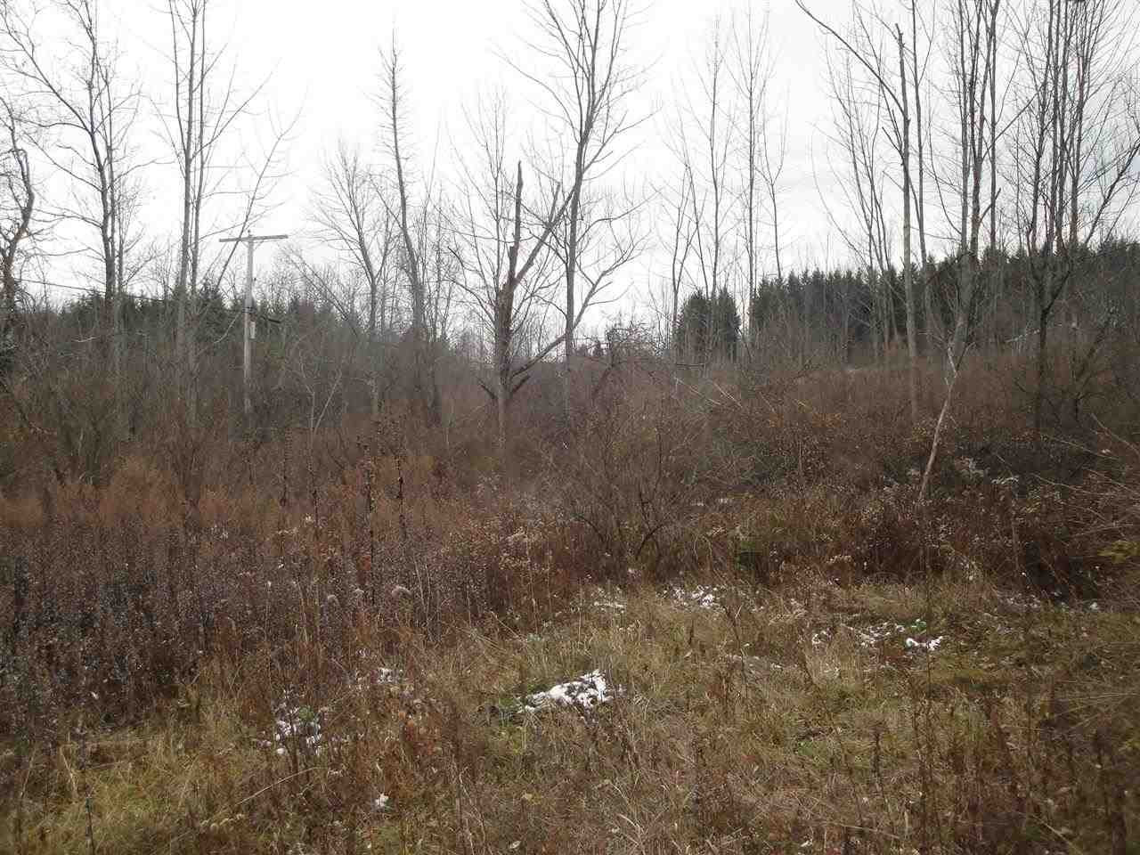 0 Roney Road Preston Hollow, NY 12469 - Photo 1 of 15 Photo 1