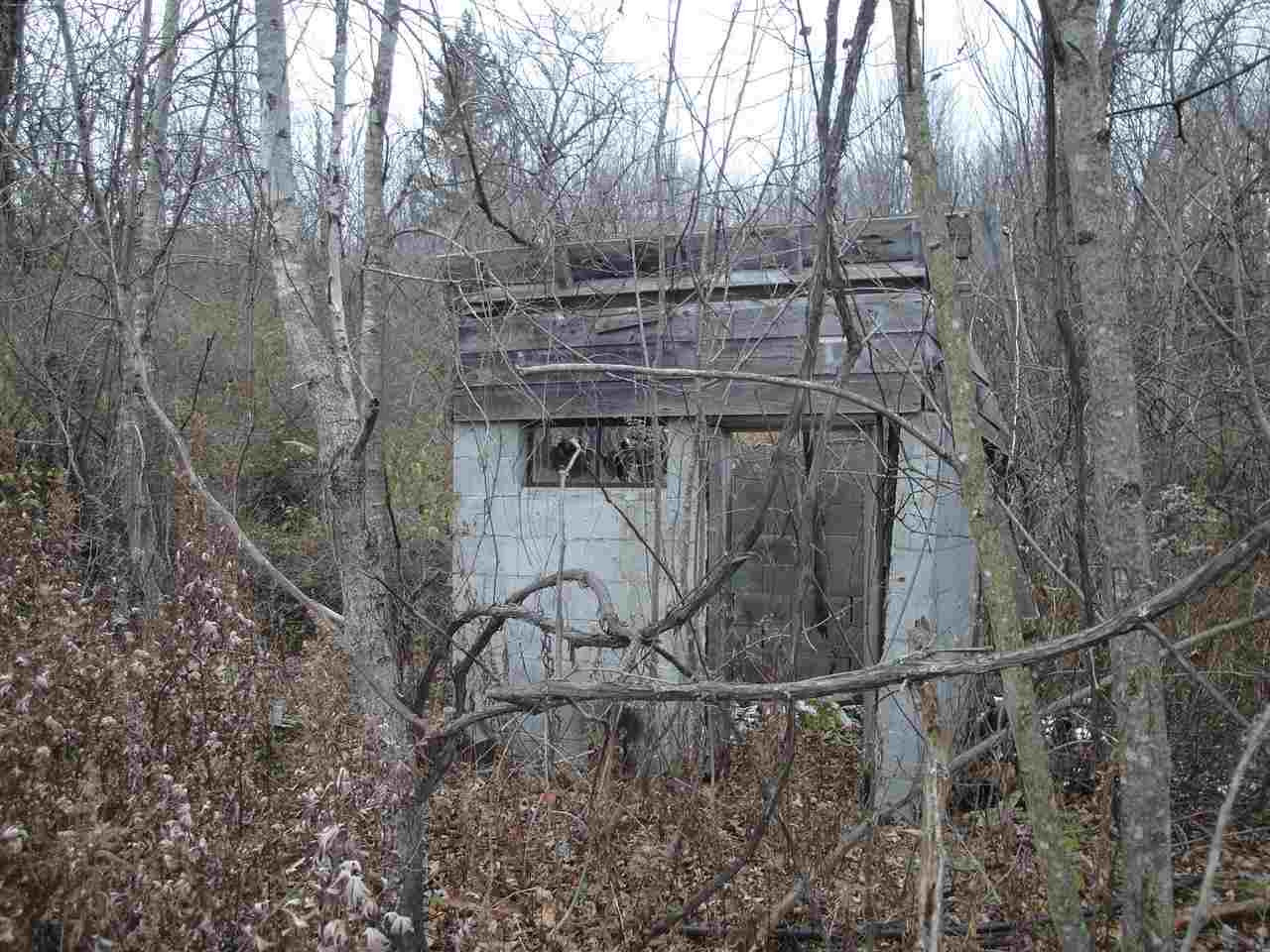 0 Roney Road Preston Hollow, NY 12469 - Photo 13 of 15 Photo 13