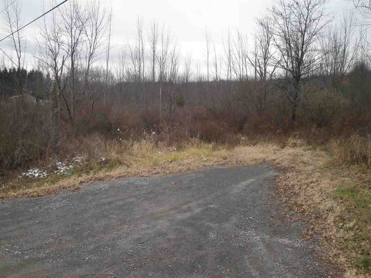 0 Roney Road Preston Hollow, NY 12469 - Photo 15 of 15 Photo 15