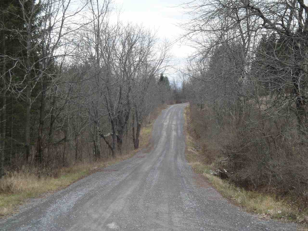 0 Roney Road Preston Hollow, NY 12469 - Photo 3 of 15 Photo 3