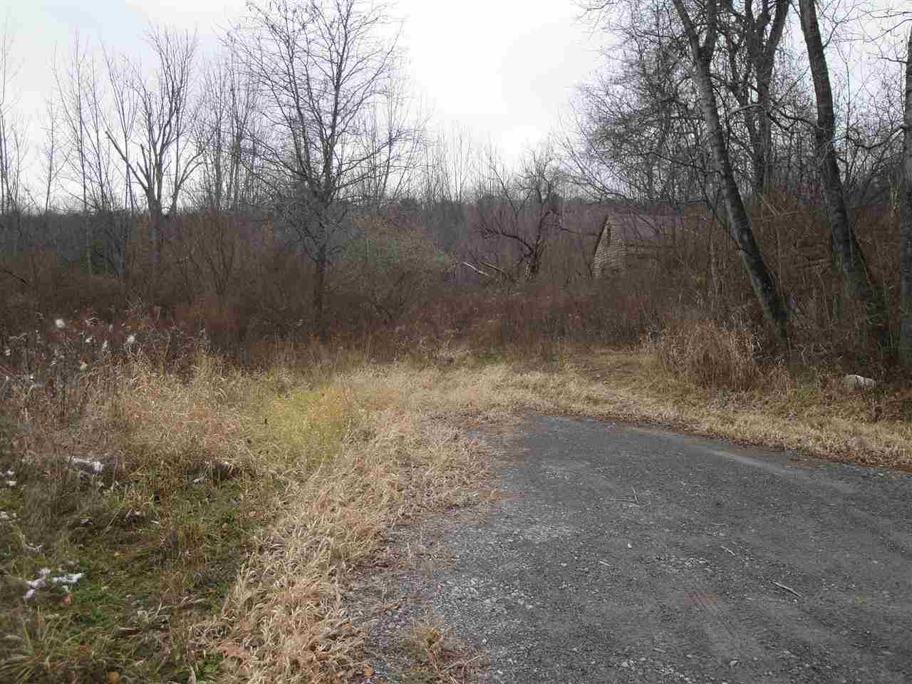 0 Roney Road Preston Hollow, NY 12469 - Photo 5 of 15 Photo 5