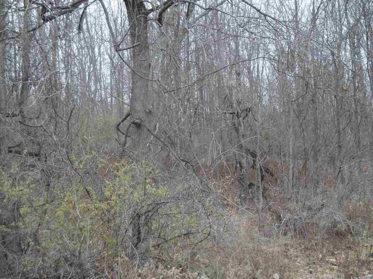 0 Roney Road Preston Hollow, NY 12469 - Photo 6 of 15 Photo 6