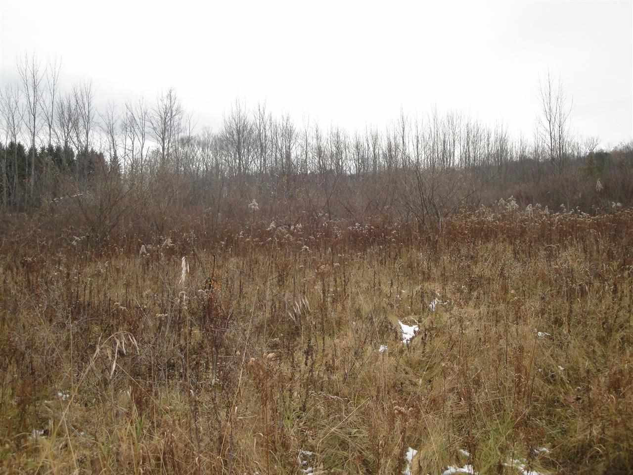 0 Roney Road Preston Hollow, NY 12469 - Photo 7 of 15 Photo 7