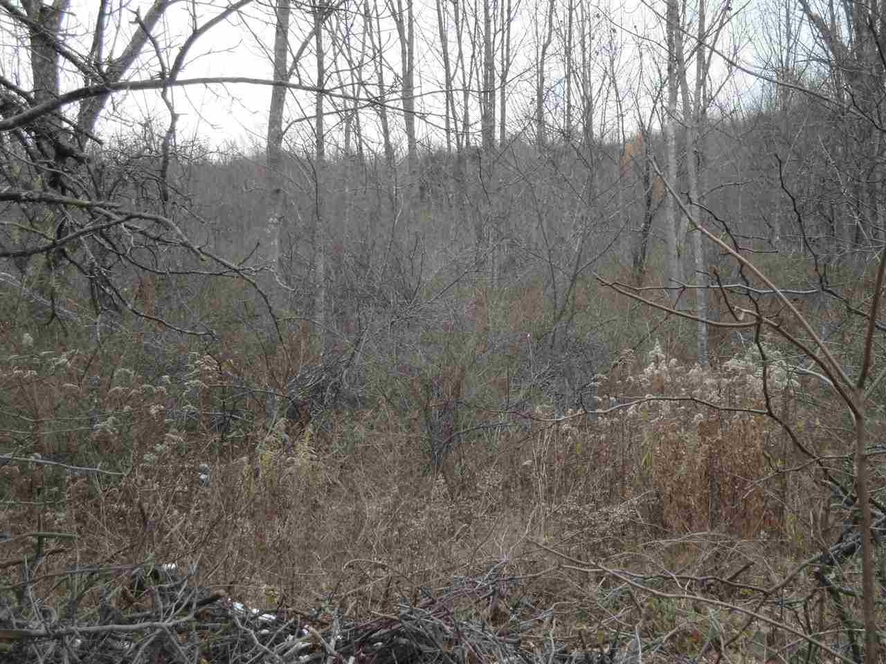 0 Roney Road Preston Hollow, NY 12469 - Photo 8 of 15 Photo 8