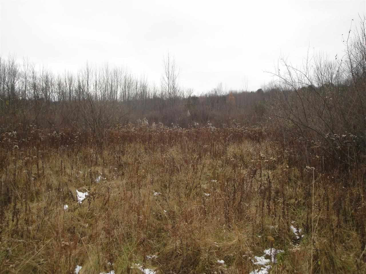 0 Roney Road Preston Hollow, NY 12469 - Photo 10 of 15 Photo 10