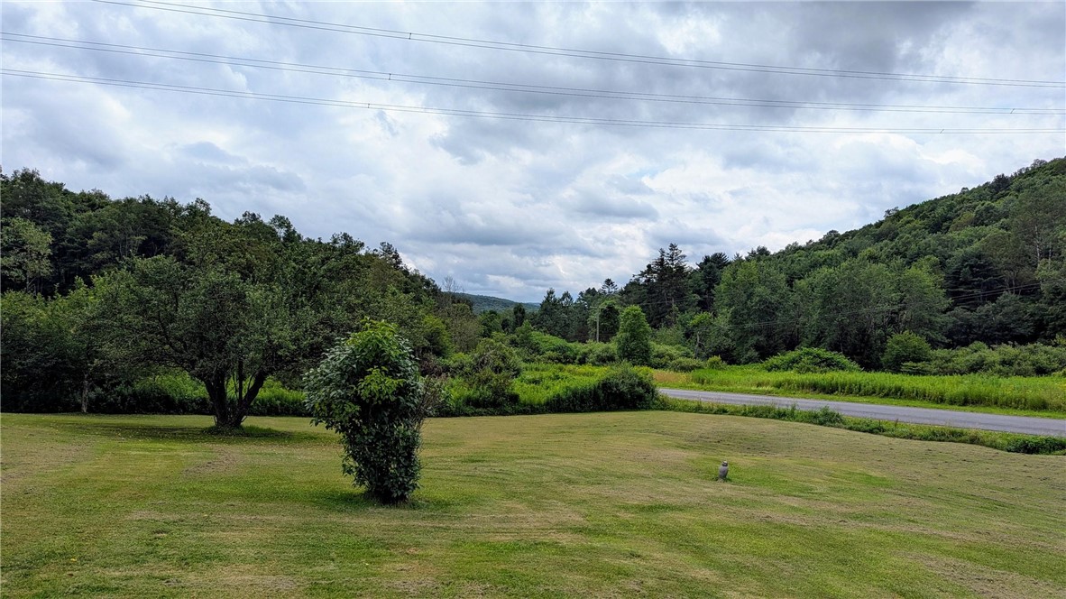 1408 East Brook Road Hamden, NY 13856 - Photo 3 of 32
Some of the wonderful views
