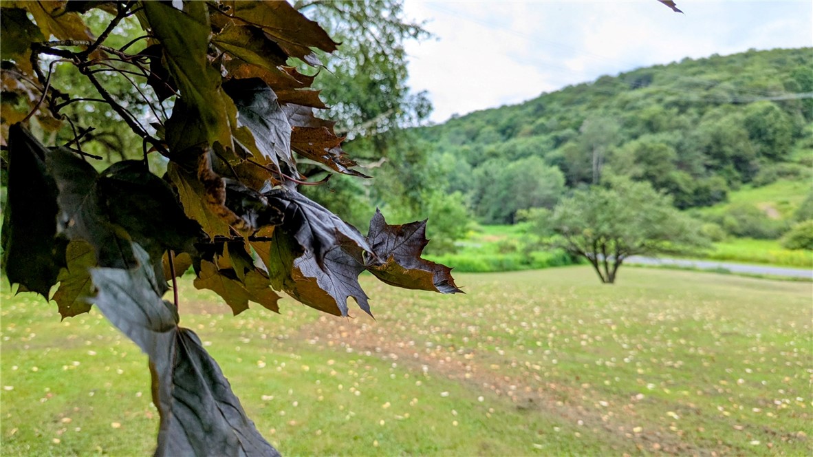 1408 East Brook Road Hamden, NY 13856 - Photo 6 of 32 Another view from property.