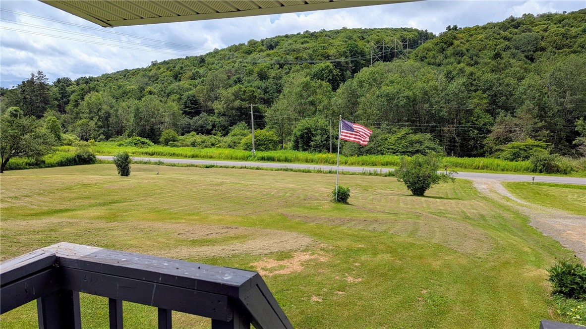 1408 East Brook Road Hamden, NY 13856 - Photo 9 of 32 Front yard