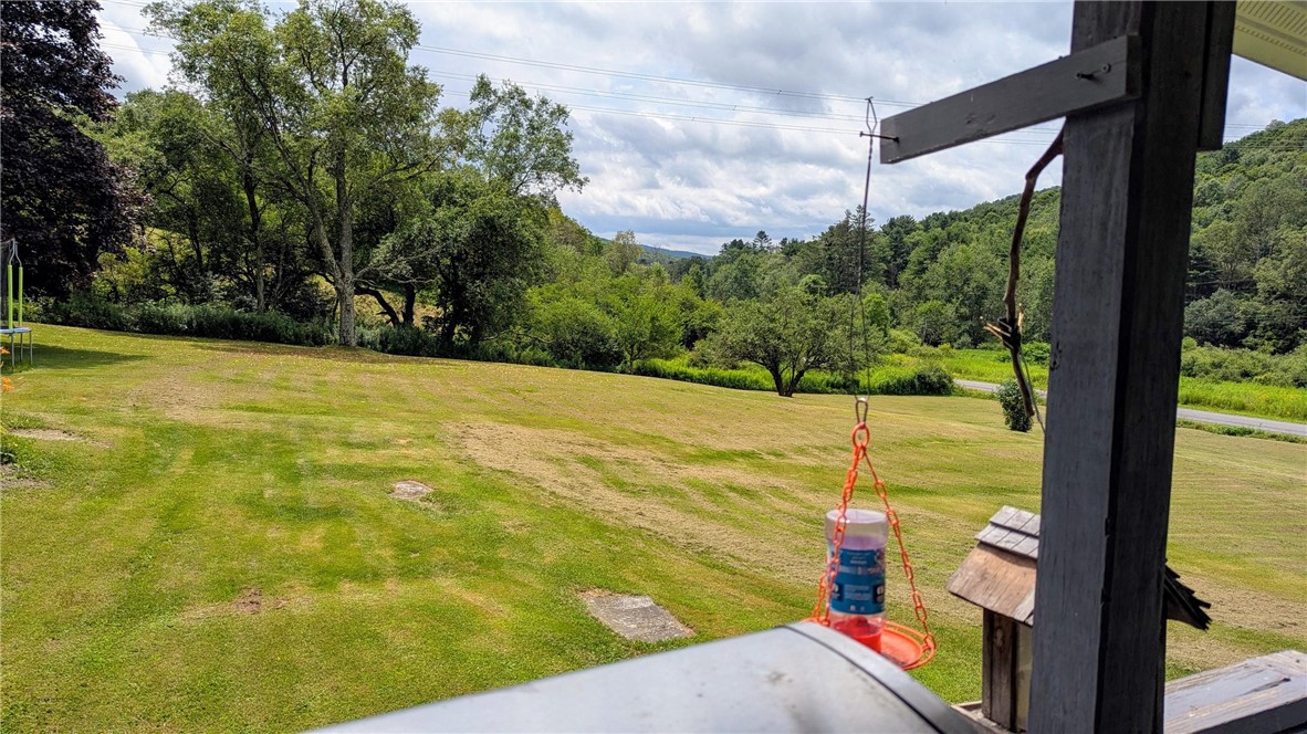 1408 East Brook Road Hamden, NY 13856 - Photo 10 of 32 Side view. 360 degree views.