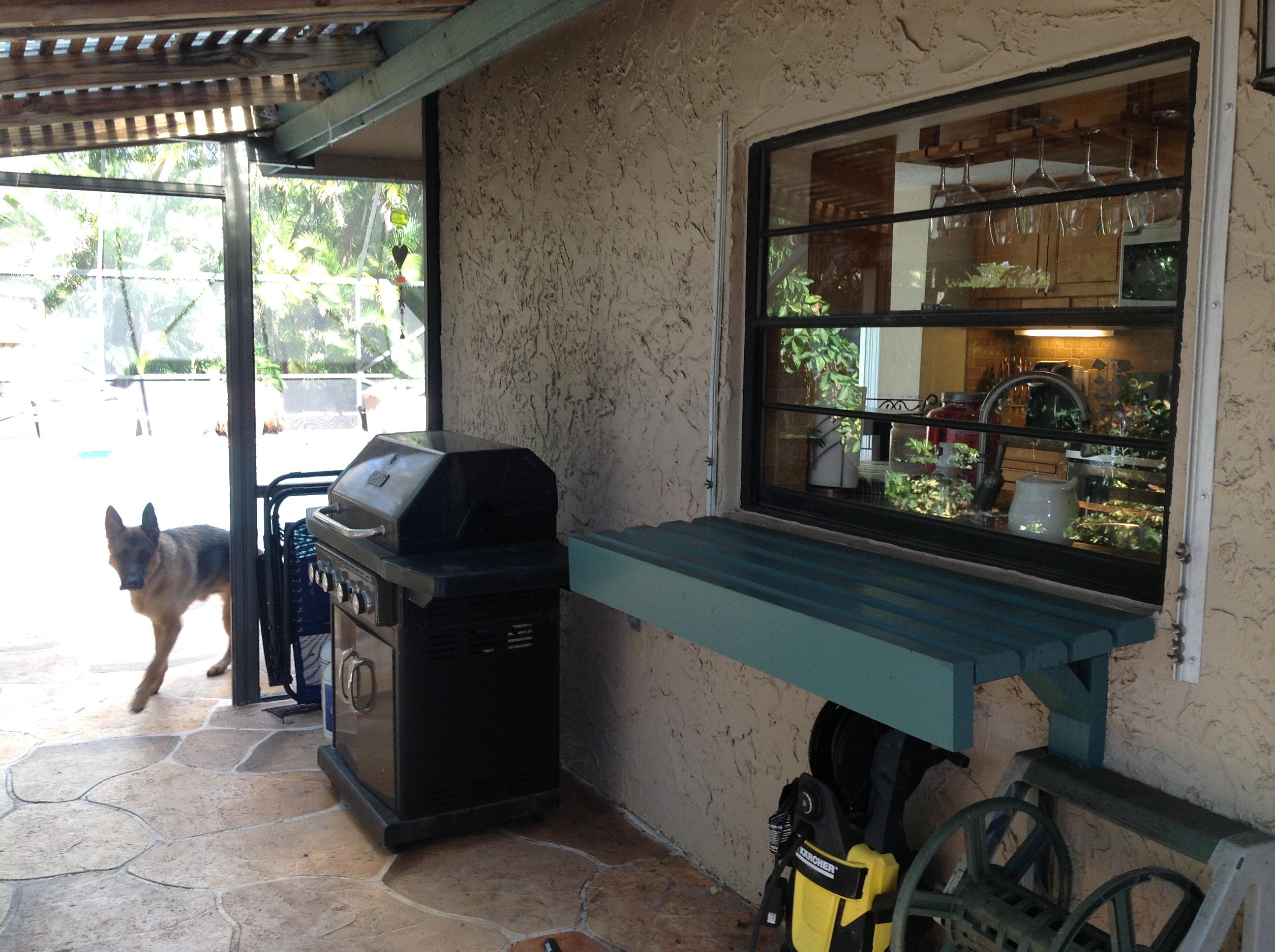6559 Pond Apple Road Boca Raton, FL 33433 - Photo 8 of 8 Pond Apple Summer Kitchen