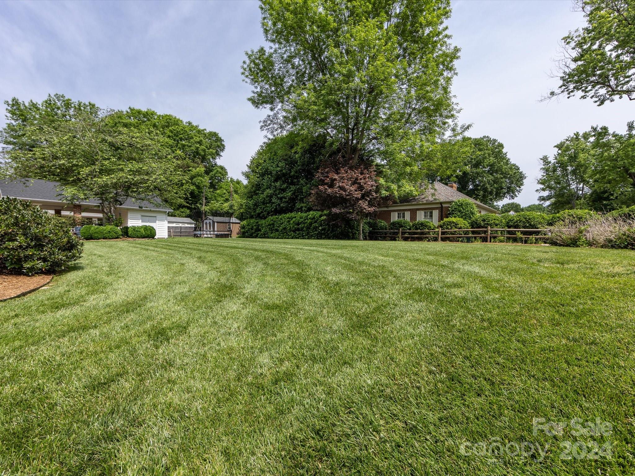 3200 Wickersham Road Charlotte, NC 28211 - Photo 35 of 35 a view of a tree in a yard