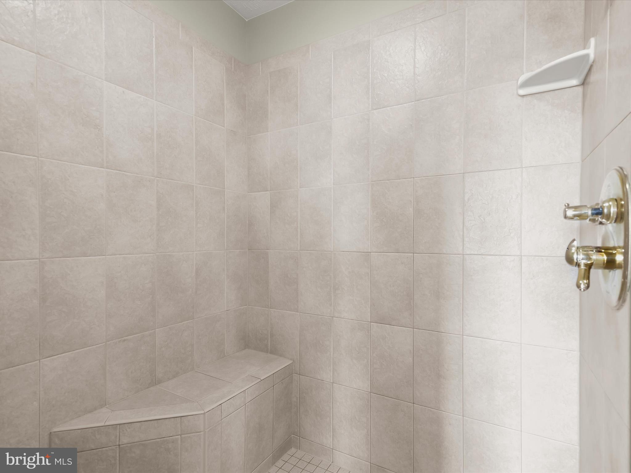 3659 Hyser Road Taneytown, MD 21787 - Photo 45 of 128 Primary Bedroom Suite Walk-In Shower