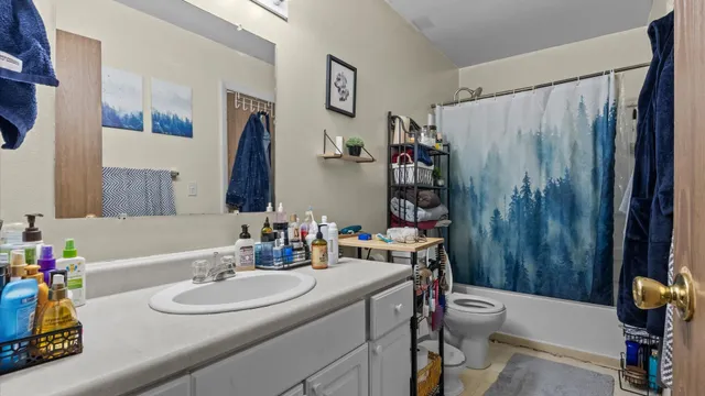 a bathroom with a sink vanity mirror and toilet