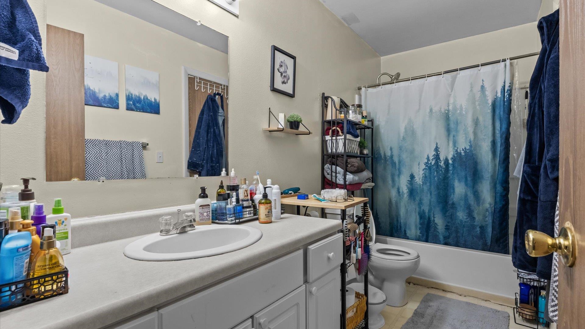 804 West Cedar Court Fruita, CO 81521 - Photo 29 of 40 a bathroom with a sink vanity mirror and toilet