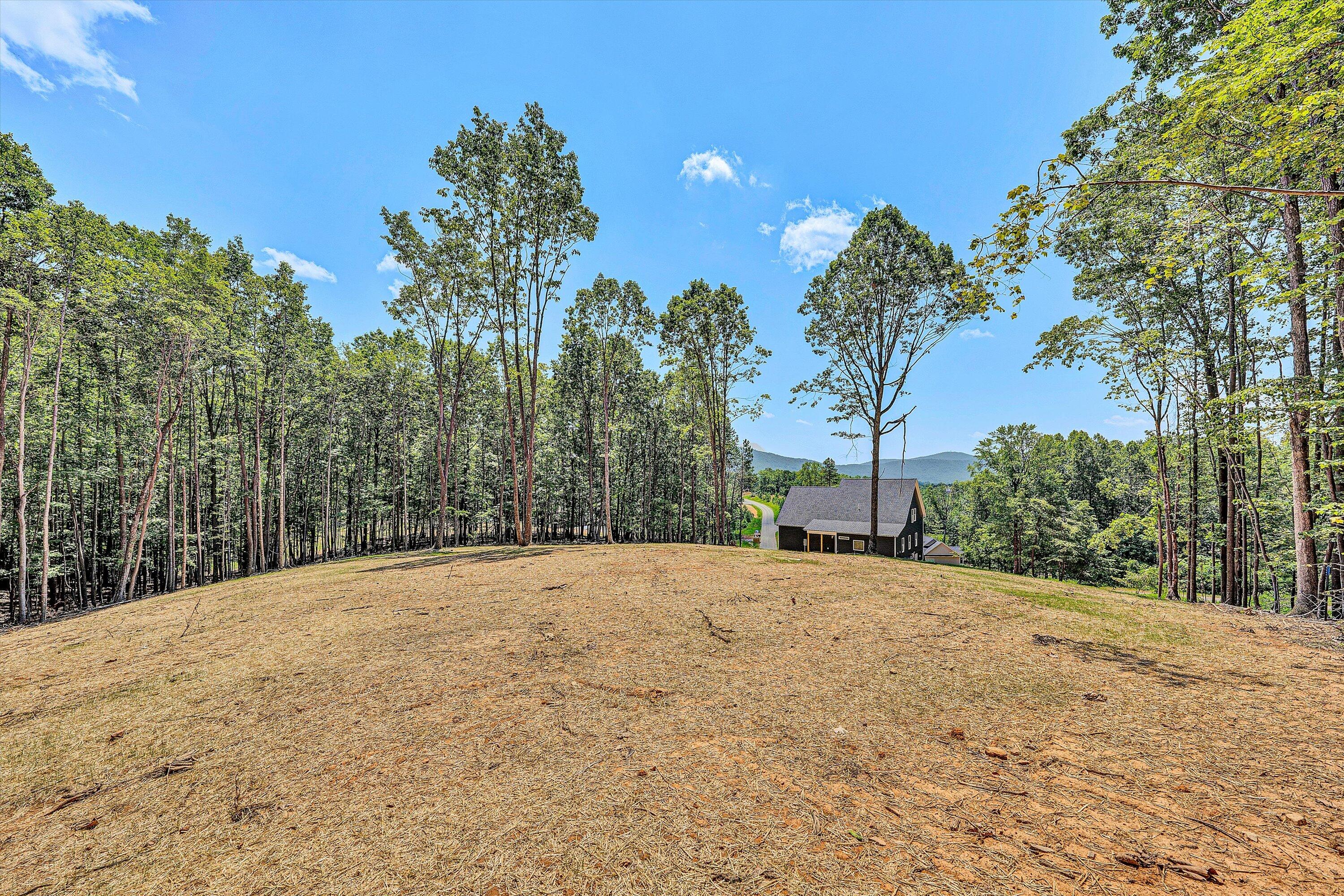 292 West Glade Trail Blue Ridge, VA 24064 - Photo 33 of 41 43-DSC00204
