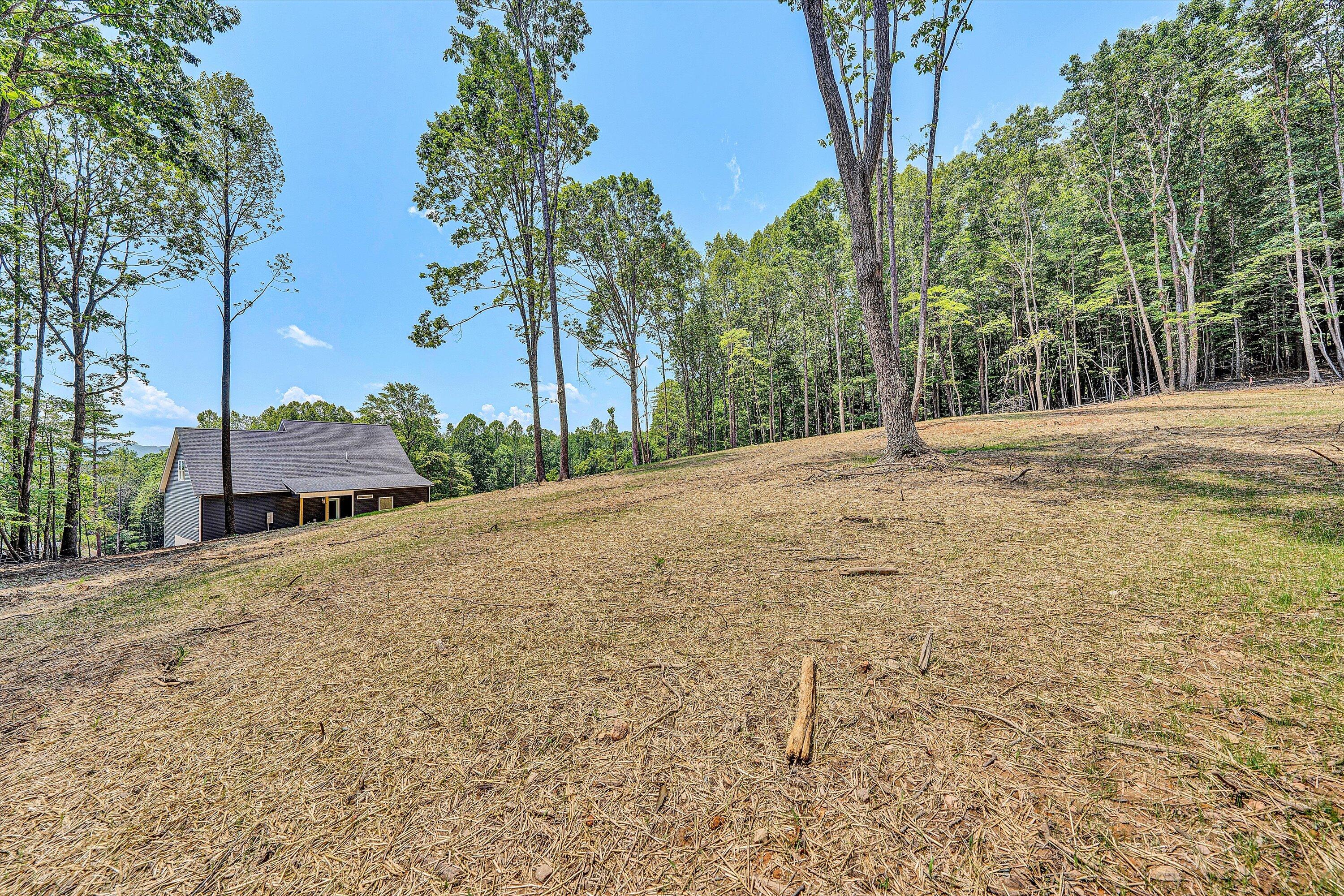 292 West Glade Trail Blue Ridge, VA 24064 - Photo 38 of 41 42-DSC00201