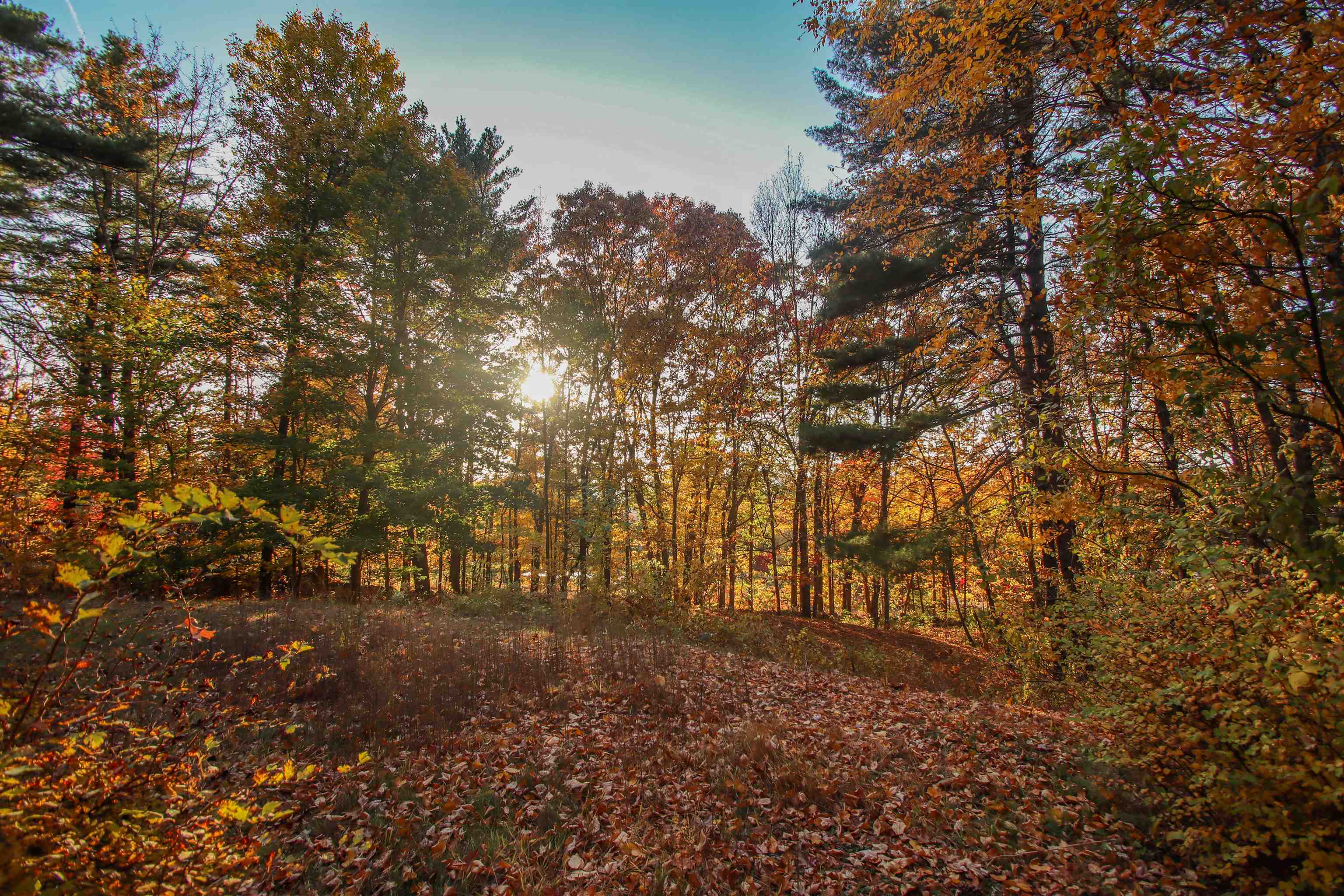 150 Federal Hill Road Milford, NH 03055 - Photo 11 of 52 Gallery Image 11