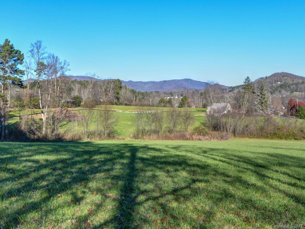 3 Cane Creek Road, Unit 3 Fletcher, NC 28732 - Photo 3 of 20 Gallery Image 3