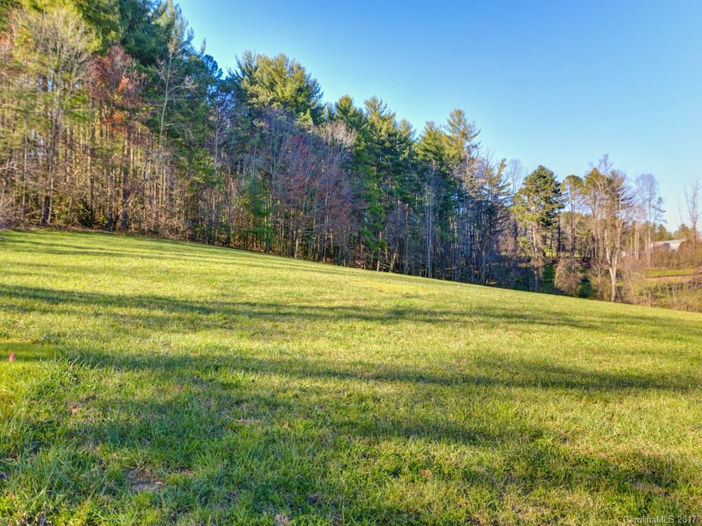 3 Cane Creek Road, Unit 3 Fletcher, NC 28732 - Photo 7 of 20 Gallery Image 7