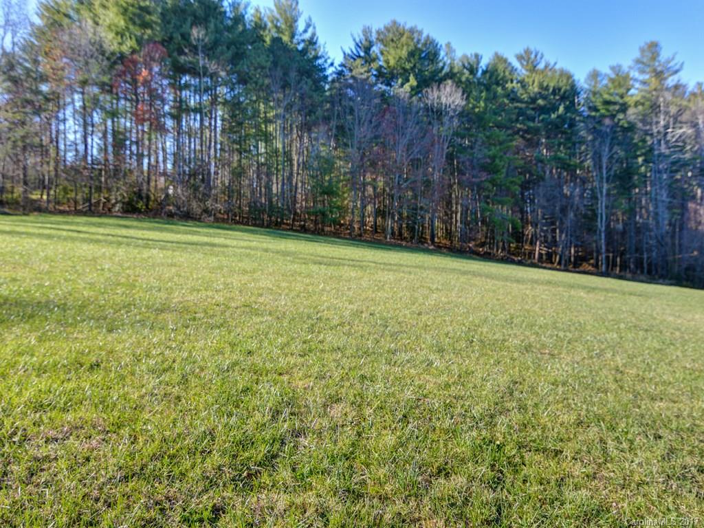 3 Cane Creek Road, Unit 3 Fletcher, NC 28732 - Photo 8 of 20 Gallery Image 8