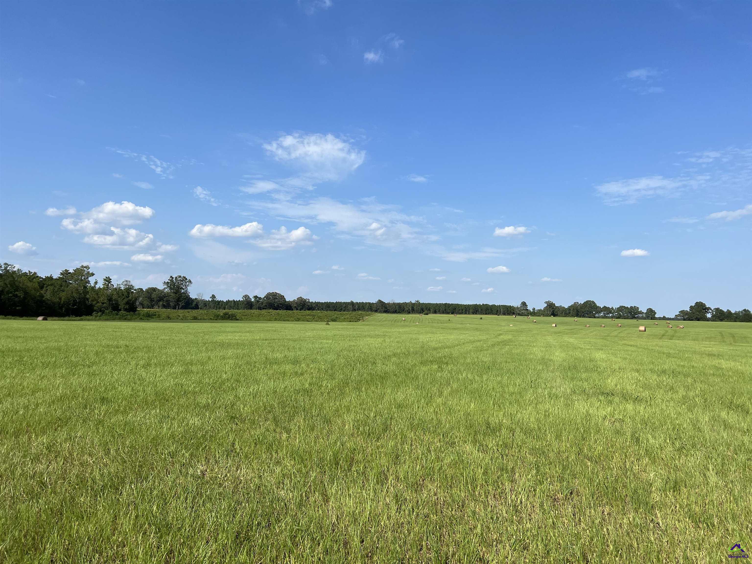 Red Dog Farm Road Cochran, GA 31014 - Photo 7 of 11