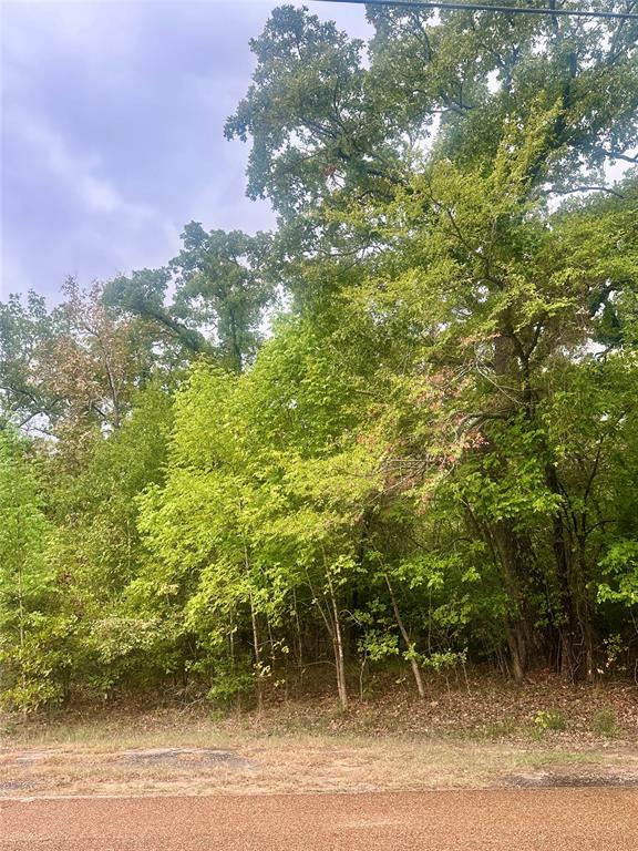 0 Alamo Road Log Cabin, TX 75148 - Photo 1 of 8 Wooded lot
